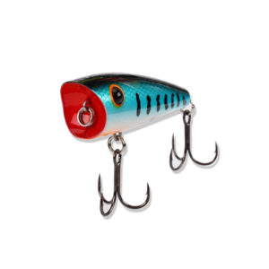 Artificial Water Fishing Lure