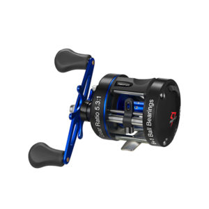 Baitcasting Reel Saltwater
